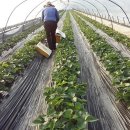 안이하우스 이미지