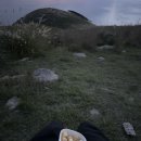 다다잇소 이미지