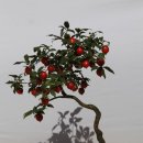 공산중학교 이미지