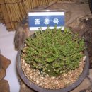 동의중학교 이미지