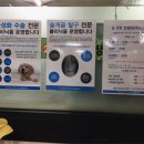 모두동물병원 이미지