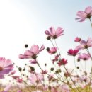 경기도 수원시 팔달구 권광로276번길 이미지