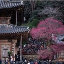 화엄사로 이미지