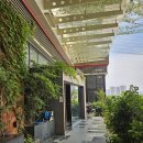 (주)원마운트 - 5557 | 일산 탈색 없이 예쁜 염색 애쉬브라운 준오헤어 가든 원마운트점 방문 후기 백선 디자이너