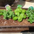 효경농장 이미지