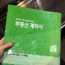 마린뱅크 | 🏠 [이사 루틴] 카카오뱅크 청년 전세대출 부결 후기 1탄: 계약부터 부결까지?!(feat. 부동산 어플 활용법)