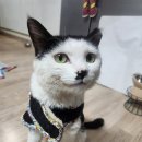 김대진동물병원 이미지