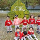 발도르프예쁜어린이집