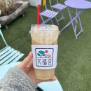 견복궁 | 김포 애견카페 애견운동장 [견복궁] 봄가을이네 신나게 뛰뛰 방문 후기!