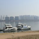 파라디조 | [맛,보다 EP 265] 여의도 한강선상레스토랑 파라디조(파라다이스), 성공의 맛이 느껴지는 봄날의 피자와...