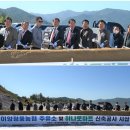 이양청풍농협주유소 이미지