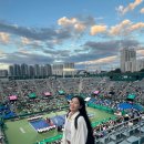 마이테니스코트
