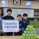 도평초등학교 이미지