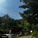 홍시먹으러곶감 이미지