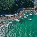 새천년공원길 이미지