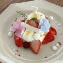 칙 플라잉 | 24년 5월 요약본