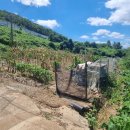 지번농장 이미지