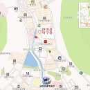 탁구 오전A 이미지