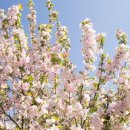 대정요양병원 이미지