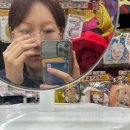 삼일카서비스 | 오사카에서 맞이한 2026 새해: 돈카츠·이자카야·나라 여행기 후기<2, 3일차>