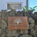 돌담 | [제주 명월] 제주도 서쪽 독채 숙소 추천 &#34;맨션375&#34; 돌담 객실 후기, 주차