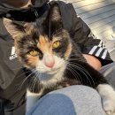 (주)제니클 | 25년이 지나가나디..