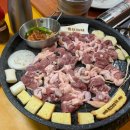 모던덕