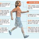 걷기의 운동 효과 &amp;올바른 걷기 자세 이미지