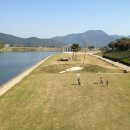 솔밭공원 농구장 이미지