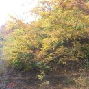 희경 - 3038 | 희경