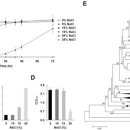 (주)엠디엑스케이 이미지