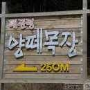 정인목장 이미지