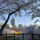 햇빛가득약국 | 임산부비타민D권장량, 비타민디 수치 검사결과 및 임신준비 후기