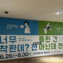 데이트 | 너무 착한데? 전 틀린 건 아닌데 전 후기 | 일본 성수 핫플 전시 부산 상륙! 신세계센텀 이색...