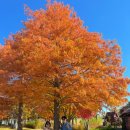 여수밤바다민박 | #순천 #여수, 전주 다음은 여수 💙 2박3일 가족여행 마무리 (순천만국가정원, 향일암, 수산시장,케이블카...