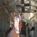 형제파크 이미지