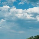 씨엔스타 이미지