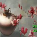 목련화 이미지