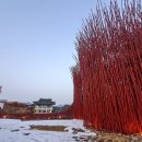 송학주천로 이미지