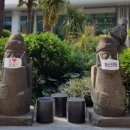 서귀포365일의원 이미지