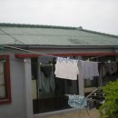 제주 한림읍 한수리 Daum카페
