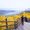 주정차단속-53 이미지