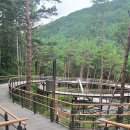 태백산한정식 이미지