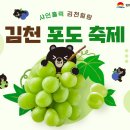 신바람싱싱장터 | [여행] 2025 김천포도축제: 샤인머스켓의 모든 것! 가성비 넘치는 가을 여행 꿀팁