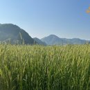 부귀농장 이미지