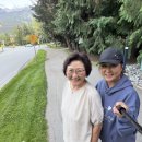 08/09~11(2박3일캠핑) Whistler. Canada 이미지