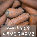 명품농장 | 샐러드부터 요리까지 만능! 고씨하루방농장 제주명품 구좌흙당근 활용 꿀팁과 후기