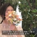 달맞이밤 이미지