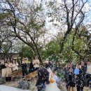 두렁바위 가든 | 수원웨딩홀 특별했던 야외예식