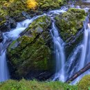 공원주유소 이미지